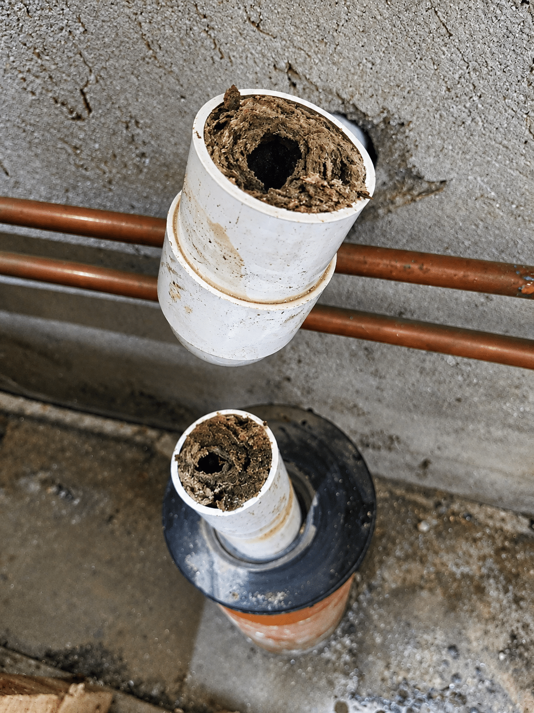 Emergency plumber in Adamstown repairing a leak in a modern home